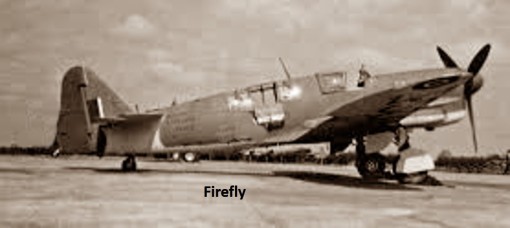 Firefly trainer